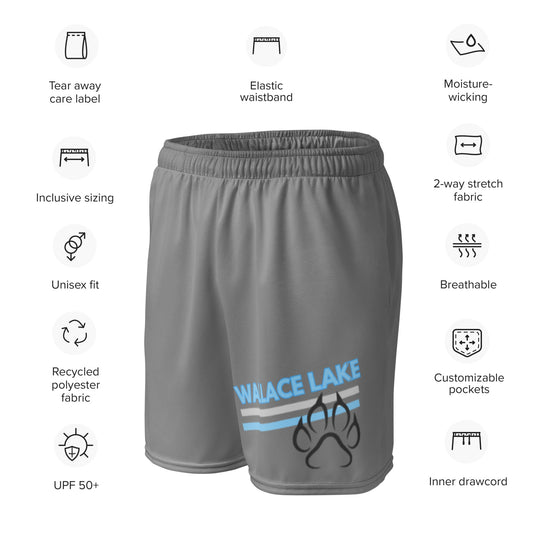 Wallace Lake Adult Unisex mesh shorts dark grey