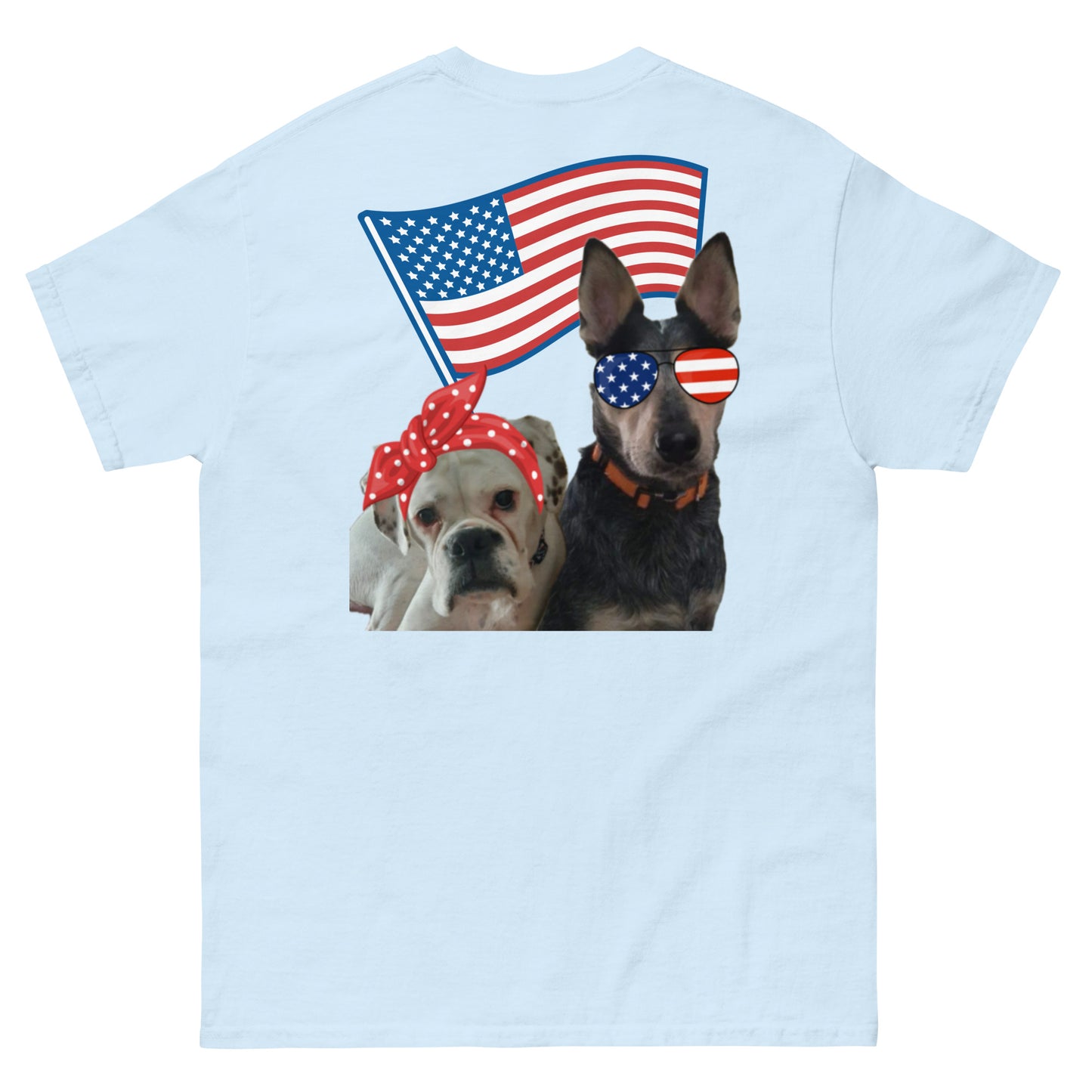 Roscoe and Ivy USA Men's classic tee front and back print