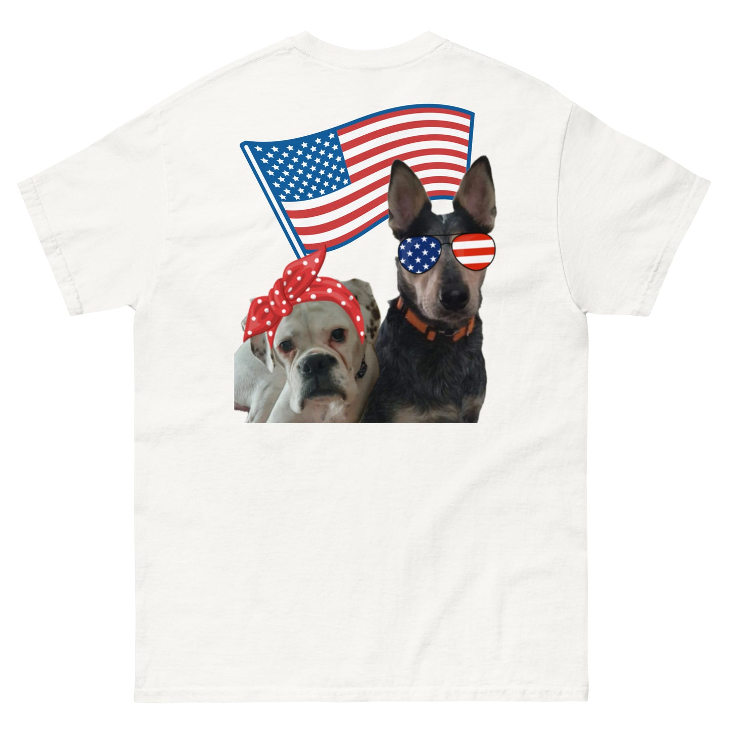 Roscoe and Ivy USA Men's classic tee front and back print